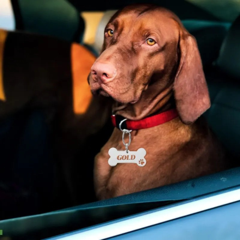 Адресник с гравировкой для собак и кошек из нержавеющей стали